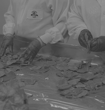 Alimentos y bebidas